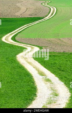 Una tortuosa stradina di campagna si snoda attraverso prati verdi e campi all'inizio della primavera, vicino a Ebersberg, Baviera, Germania Foto Stock