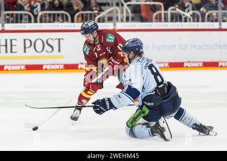Zweikampf Kevin Clark (D?sseldorfer EG, #11), Joshua Samanski (Straubing Tigers, #8) Penny DEL: D?sseldorfer EG - Straubing Tigers, PSD Bank Dome, D?sseldorf AM 25.01.2024 Foto Stock