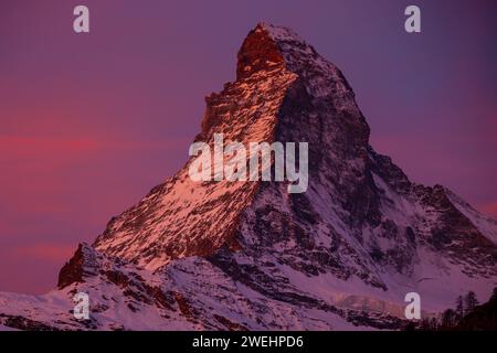 alpenglow di prima mattina sul famoso picco del Cervino nelle Alpi svizzere, preso da Zermatt, Vallese, Svizzera Foto Stock