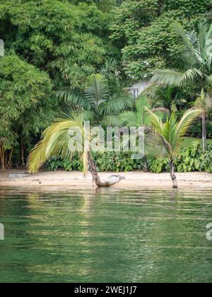 Gisenyi, una città sulla riva nord del lago Kivu in Ruanda, Africa orientale Foto Stock