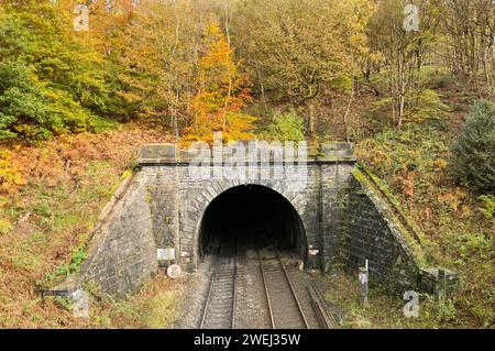 Bocca del tunnel di Totley circondata dai colori autunnali a Padley Gorge nel Peak District, Derbyshire, Inghilterra, Regno Unito. tunnel ferroviario tunnel ferroviario binario ferroviario Foto Stock