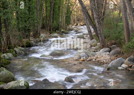 Il fiume Ambroz scorre velocemente attraverso una galleria di alberi con rocce erose orizzontalmente Foto Stock