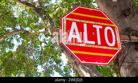 Segnale di stop in un albero, Merida, Messico Foto Stock