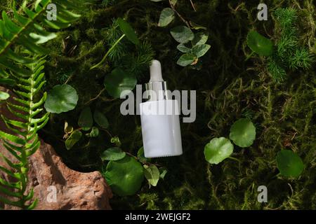 Bottiglia di siero su fondo forestale con pietra, felce, centella e foglie verdi. Mockup, foto pubblicitaria per cosmetici di estratto naturale. Spazio per Foto Stock