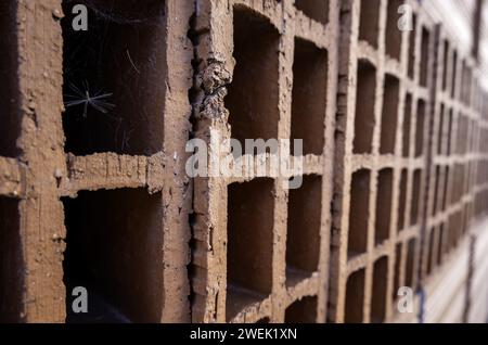Dettaglio di mattoni di fango cotti per l'edilizia, l'architettura Foto Stock