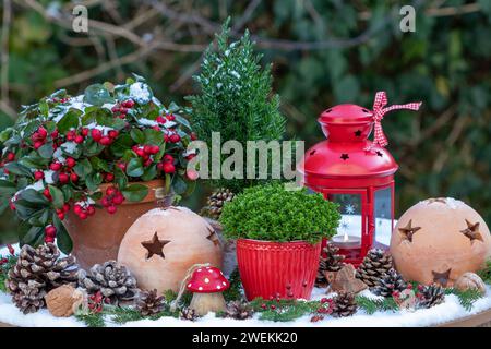 allestimento giardino di natale con piante invernali in pentole, lanterna e palle di terracotta Foto Stock