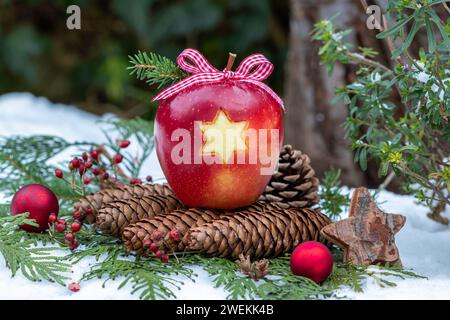 una mela con ornamenti a stella e coni come decorazione natalizia Foto Stock