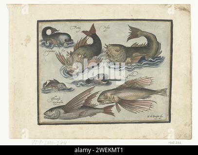 Fantastici animali acquatici, tra cui delfini e Pitvis, Nicolaes de Bruyn, 1581 - 1656 esemplari fantastici animali acquatici, iscrizioni in latino e olandese, tra le altre cose, identificano un delfino e un pitfish. incisione su carta Foto Stock