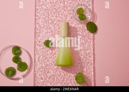 Scena minimalista per la pubblicità di cosmetici - flacone verde senza etichetta su foglio acrilico trasparente decorato con foglie di gotu kola e piatto di petri su b rosa Foto Stock