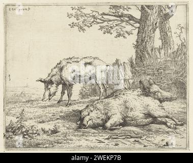 Tre maiali di una siepe, Karel du Jardin, 1656 - 1658 carta stampata per incidere gli animali a zoccolo: Cinghiale Foto Stock