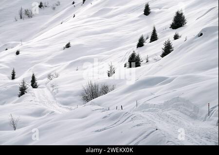 Wandern in einer Winterlandschaft im Naturpark Beverin, Graubünden, Schweiz *** escursioni in un paesaggio invernale nel Parco naturale di Beverin, Graubünden, Svizzera Foto Stock