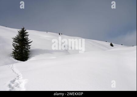 Wandern in einer Winterlandschaft im Naturpark Beverin, Graubünden, Schweiz *** escursioni in un paesaggio invernale nel Parco naturale di Beverin, Graubünden, Svizzera Foto Stock