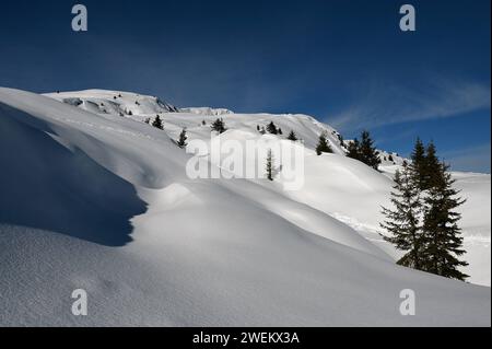 Wandern in einer Winterlandschaft im Naturpark Beverin, Graubünden, Schweiz *** escursioni in un paesaggio invernale nel Parco naturale di Beverin, Graubünden, Svizzera Foto Stock