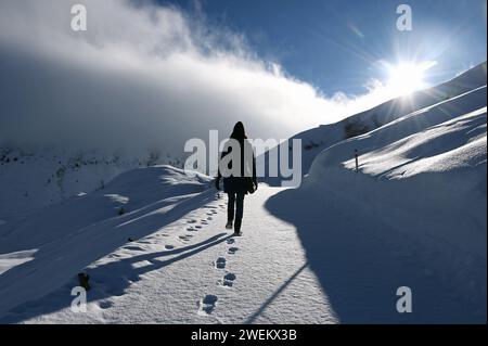 Wandern in einer Winterlandschaft im Naturpark Beverin, Graubünden, Schweiz *** escursioni in un paesaggio invernale nel Parco naturale di Beverin, Graubünden, Svizzera Foto Stock