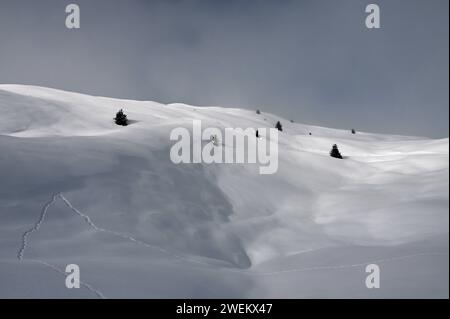 Wandern in einer Winterlandschaft im Naturpark Beverin, Graubünden, Schweiz *** escursioni in un paesaggio invernale nel Parco naturale di Beverin, Graubünden, Svizzera Foto Stock