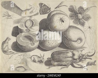 Foglio di studio con esempi di disegno: Frutta, animali, insetti e mani, 1610 - 1672 stampa diciannovesima stampa da una serie di esempi di disegno di dimensioni sconosciute. Foglio di studio con frutta, animali e insetti. Cinque pesche al centro, una delle quali è tagliata. Intorno ad esso vari animali e insetti tra cui una volpe, ragno, lepre (dopo Aegidius sadeler) ed elefantsche e farfalla (fino a Hoefnagel). Due mani a sinistra, due gambe a destra. Un garofano nell'angolo in alto a destra. carta. modelli di incisione a matita - libri  attrezzi di pittore. la mano. gambe. insetti. frutta: pesca. insetti: beetle. fiori: c. Foto Stock