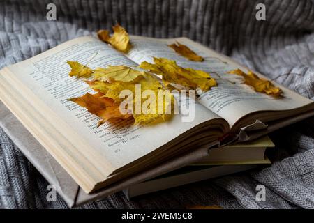 Pila di libri e foglie d'acero gialle su un plaid lavorato a maglia Foto Stock