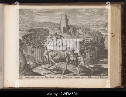 Parabola dei cattivi viticoltori, Hans Collaert (i), dopo Ambrosius Francken (i), 1646 stampa in un vigneto recintato, viticoltori uccidono i servi del proprietario del vigneto. I servitori venivano a prendere la parte del raccolto a cui il proprietario aveva diritto. Se i suoi servitori non tornano, il proprietario decide di mandare suo figlio. Suo figlio viene cacciato e ucciso in primo piano dagli inquilini. Sotto lo spettacolo un riferimento in latino al testo biblico in Luc. 20: 9. Questa stampa fa parte di un album. l'incisione di carta degli imbecilli uccide i servi del signore, che sono inviati a raccogliere i frutti. a Foto Stock