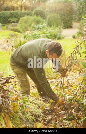 Giardiniere tagliare erbacce Foto Stock