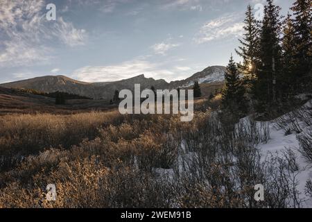 Paesaggio di Willow con il Sawtooth sullo sfondo, Colorado Foto Stock