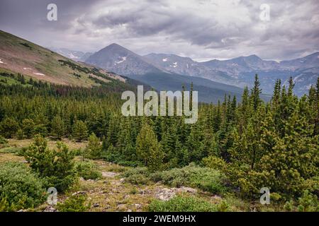 Vista sul parco nazionale delle Montagne Rocciose, Colorado Foto Stock
