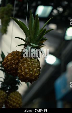 Piccoli ananas in vendita Foto Stock