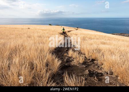 Un uomo che percorre un sentiero nella spettacolare savana di Cap la Houssaye sull'isola di Reunion. Foto Stock