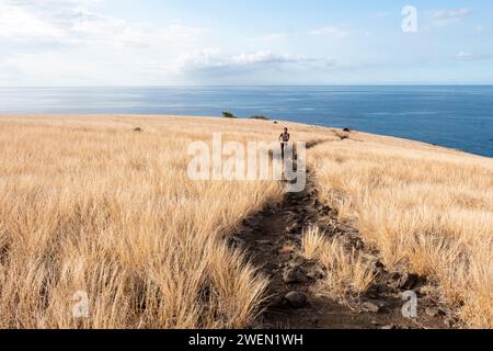 Un uomo che percorre un sentiero nella spettacolare savana di Cap la Houssaye sull'isola di Reunion. Foto Stock