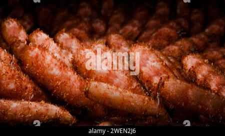 Villi intestinali, microvilli rossi in un tratto intestinale. Primo piano, Microbiologia, anatomia, biologia, scienza, concetti di medicina, medicina e sanità, Foto Stock