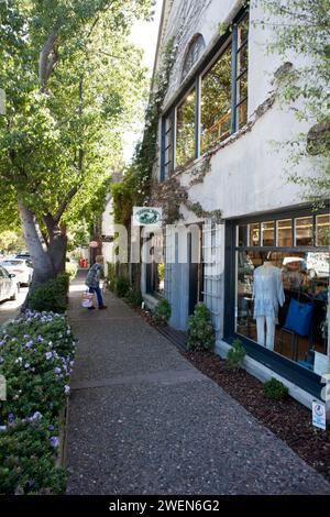 Vetrine lungo il marciapiede di Carmel by the Sea, Monterey, California, al sole Foto Stock