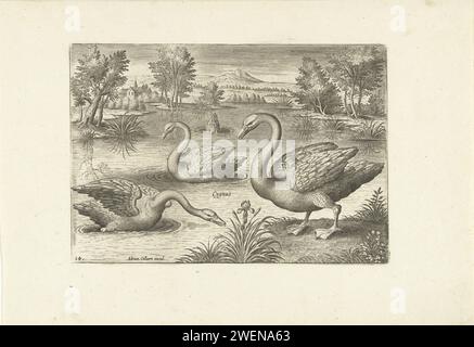 Tre cigni in uno stagno, Adriaen Collaert, 1598 - 1618 stampare tre cigni in uno stagno. Un paesaggio sullo sfondo. La stampa fa parte di una serie con gli uccelli come soggetto. incisione di carta uccelli acquatici: swan. stagno, piscina Foto Stock