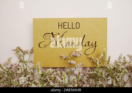 Buongiorno lunedì scritto su carta con decorazione a cornice floreale su sfondo rosa Foto Stock