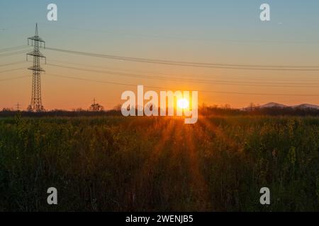 Sonnenaufgang über Feld mit Strommast Foto Stock