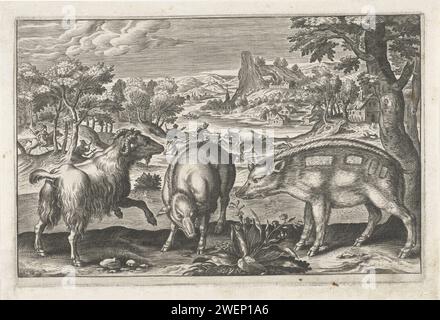 Goat and Zwijnen, Anonymous, dopo Adriaen Collaert, 1595 - 1652 stampa due maiali e una capra. Sullo sfondo un paesaggio con un fiume e una caccia al cinghiale. Fa parte di una serie di stampa con gli animali come soggetto. incisione su carta caccia al cinghiale. animali a zoccolo: cinghiale. capra. river Foto Stock