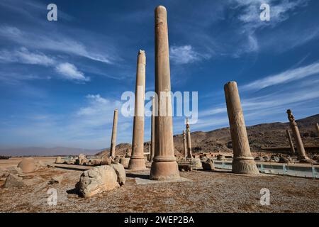 Colonne rimanenti del Palazzo Apadana in rovina a Persepoli, capitale cerimoniale dell'Impero achemenide (550–330 a.C.). Provincia di Fars, Iran. Foto Stock