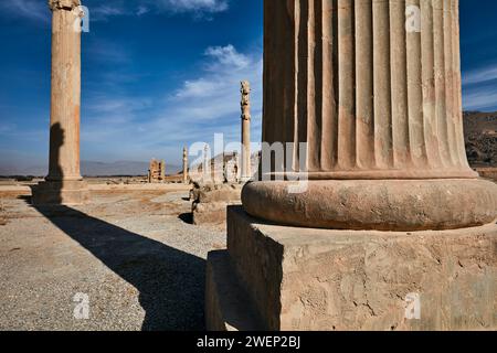 Colonne rimanenti del Palazzo Apadana in rovina a Persepoli, capitale cerimoniale dell'Impero achemenide (550–330 a.C.). Provincia di Fars, Iran. Foto Stock