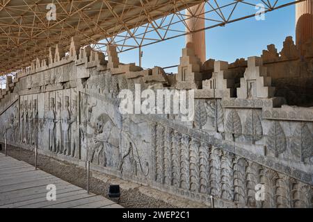 Bassorilievi sulla grande scalinata del Palazzo Apadana a Persepoli, capitale cerimoniale dell'Impero achemenide (550–330 a.C.), Iran. Foto Stock