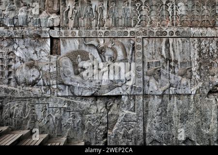 Bassorilievi che adornano la scalinata del Palazzo Apadana a Persepoli, capitale cerimoniale dell'Impero achemenide (550–330 a.C.), Iran. Foto Stock