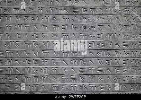 Iscrizioni cuneiformi su una pietra esposta nel Museo di Persepoli, Iran. Foto Stock