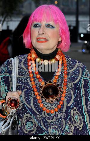 Zandra Rhodes Foto Stock