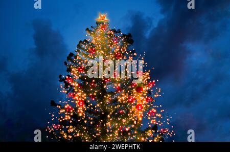 Illuminato albero di Natale di notte Foto Stock
