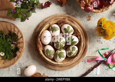 Uova di Pasqua crude con erbe loro attaccate con calze vecchie - preparazione per tintura con bucce di cipolla Foto Stock