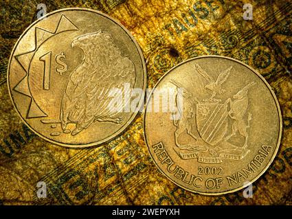 Una moneta d'oro dal design intricato che mostra la moneta da un dollaro della Namibia Foto Stock