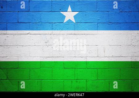 Bandiera del Puntland dipinta su un muro di mattoni. Foto Stock