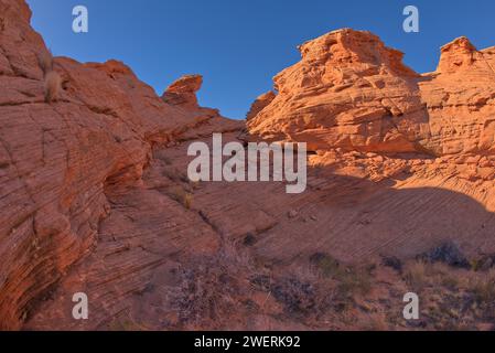 Uno stretto canyon che corre tra diverse isole rocciose a Ferry Swale nell'area ricreativa del Glen Canyon vicino a Page Arizona. Foto Stock