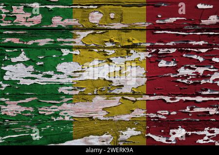 Bandiera del Mali dipinta su una tavola di legno grunge. Foto Stock