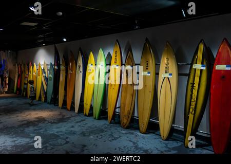 Una collezione di tavole da surf colorate su una parete, parte della mostra del museo Rico Surf esposta all'interno dell'acquario marino pubblico AquaRio nel quartiere Gamboa. Foto Stock