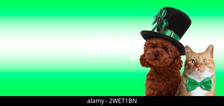 St Festa del giorno di Patrick. Simpatico cane con cappello in leprechaun e gatto con papillon su sfondo verde. Design banner con spazio per il testo Foto Stock