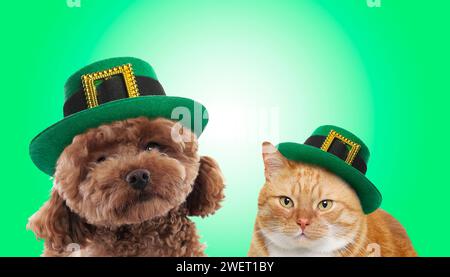 St Festa del giorno di Patrick. Simpatici cani e gatti con cappelli leprecaun su sfondo verde. Design banner Foto Stock