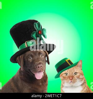 St Festa del giorno di Patrick. Simpatici cani e gatti con cappelli leprecaun su sfondo verde Foto Stock